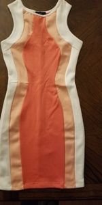 Beautiful Silhouette Dress size: Large